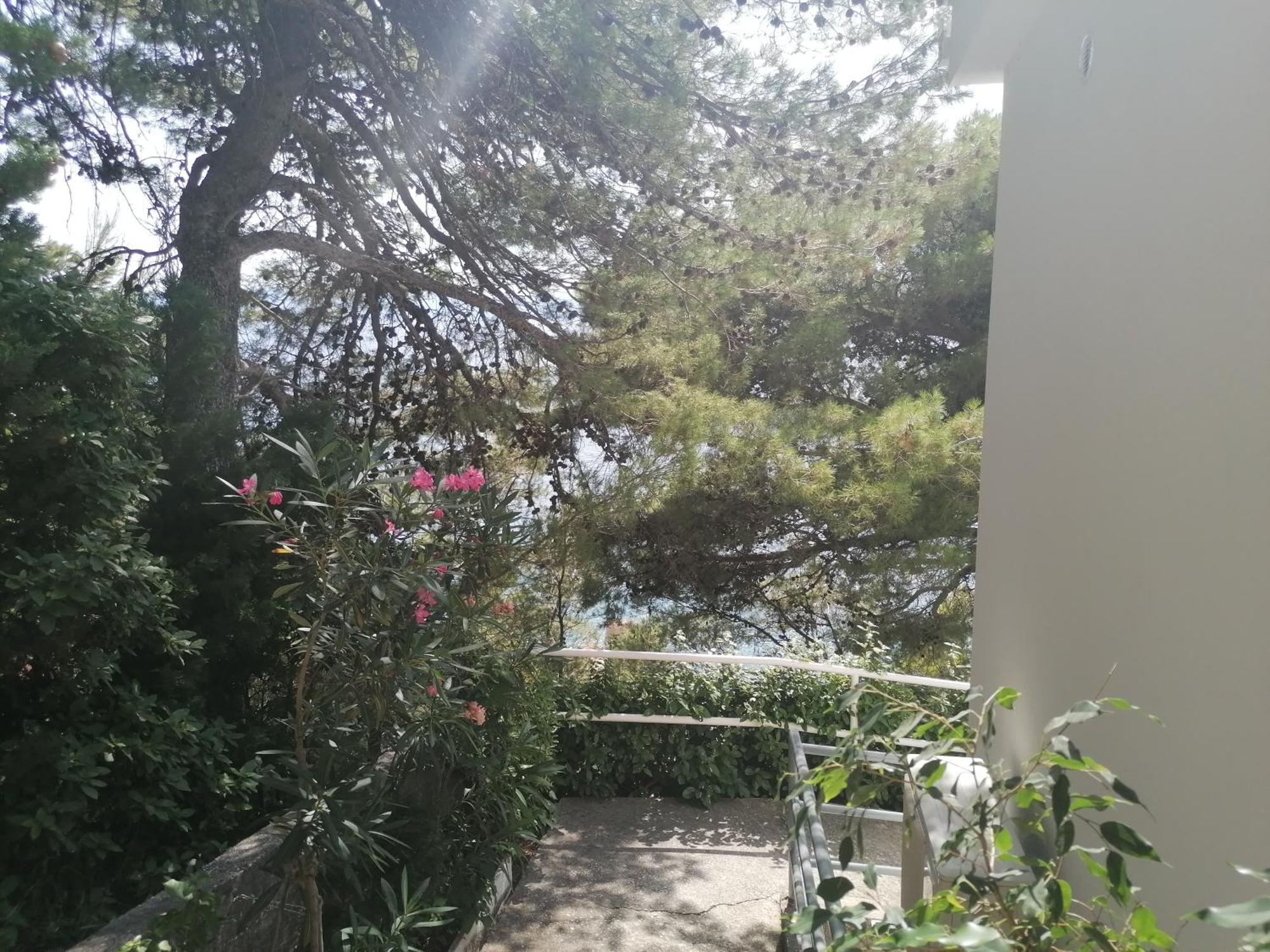 Apartmani Mares - 20 M From The Beach Brela Buitenkant foto